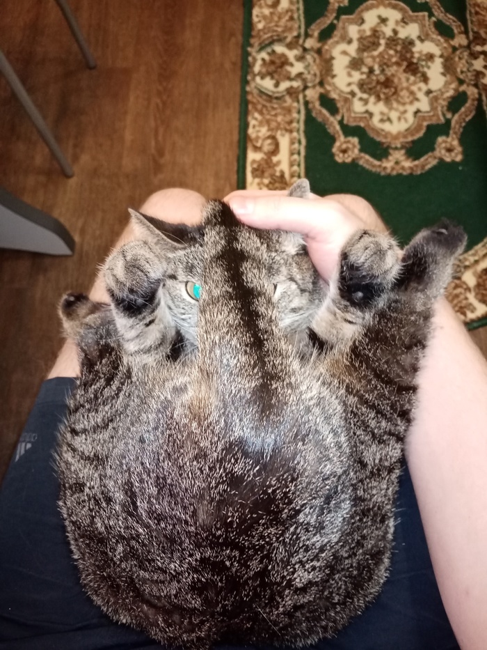 И зачем я это сделал?