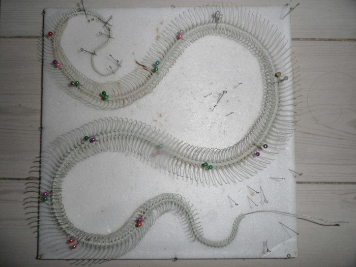 le serpent d ocean история