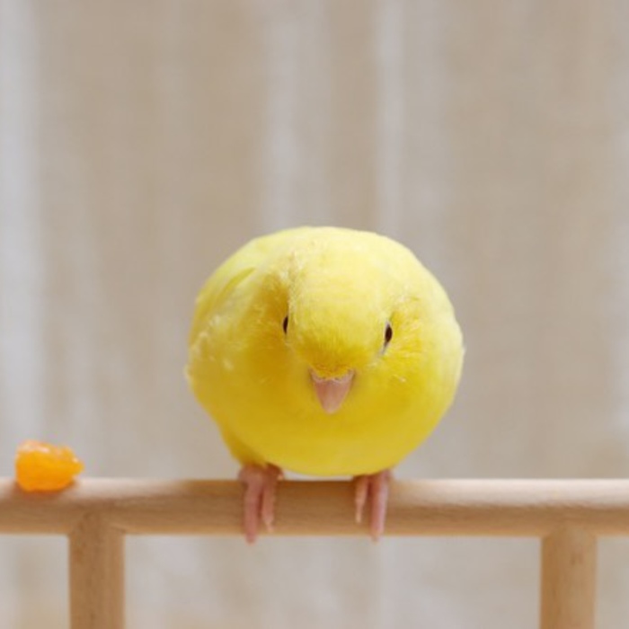          , , Photoshop, M&Ms, , ,  , 