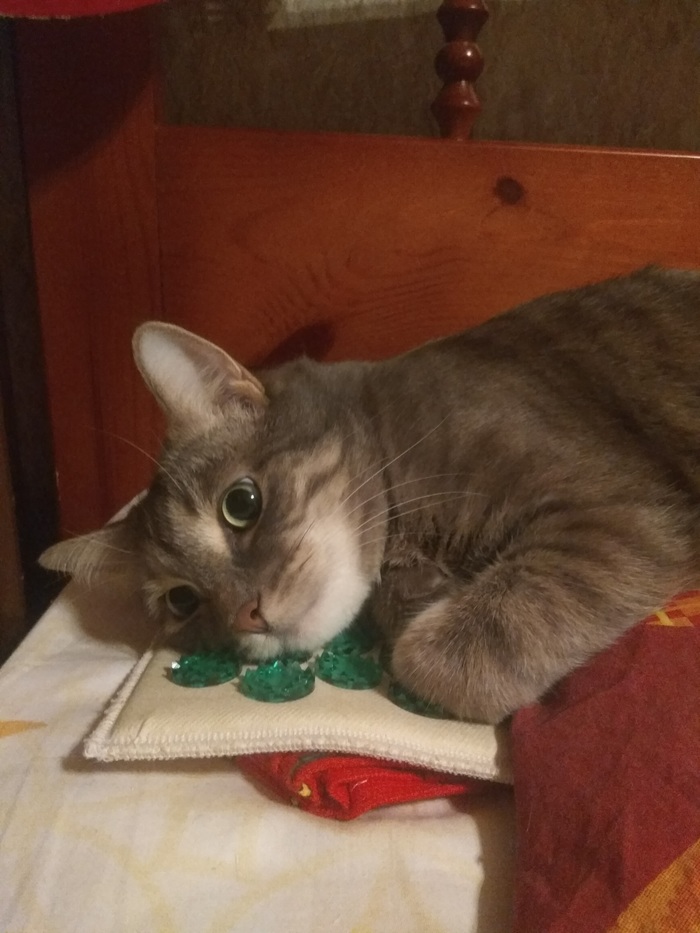 ����� ���� 11 �������� ���...