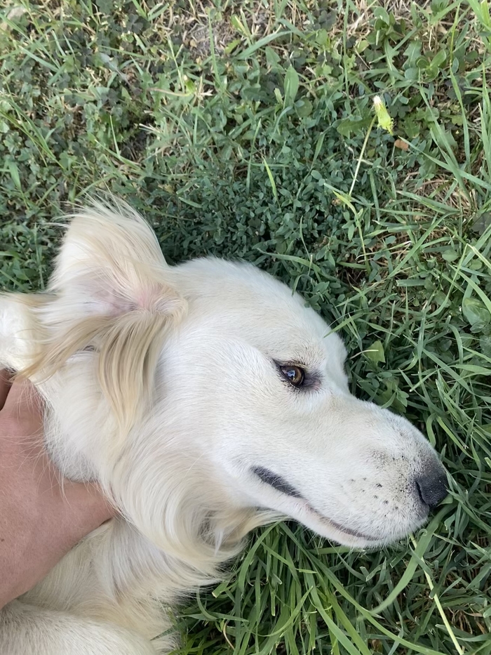 ����� � ������ , ��������...