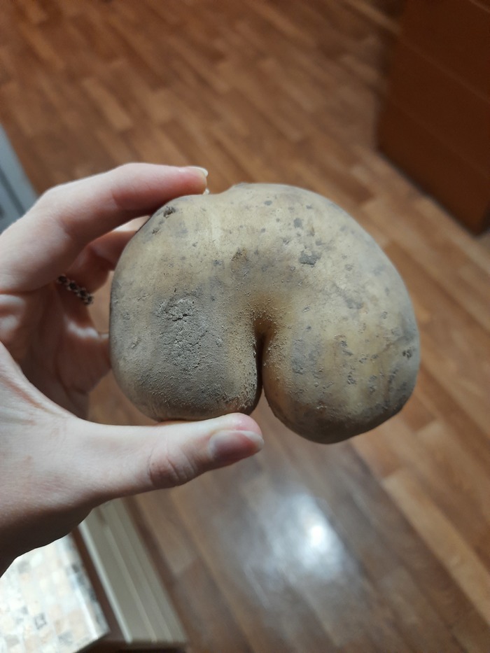 ����������� � ����� 2020 ����*