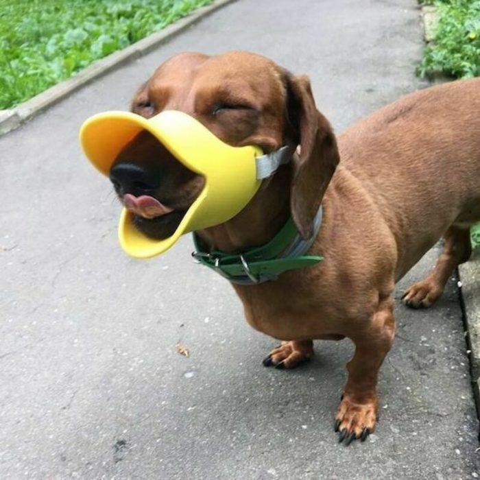 , , ! , , , , , , 