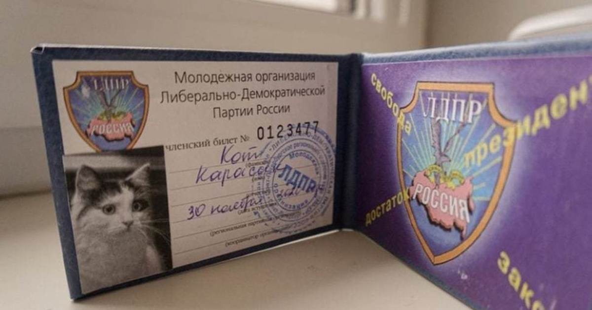 Партбилет лдпр нового образца