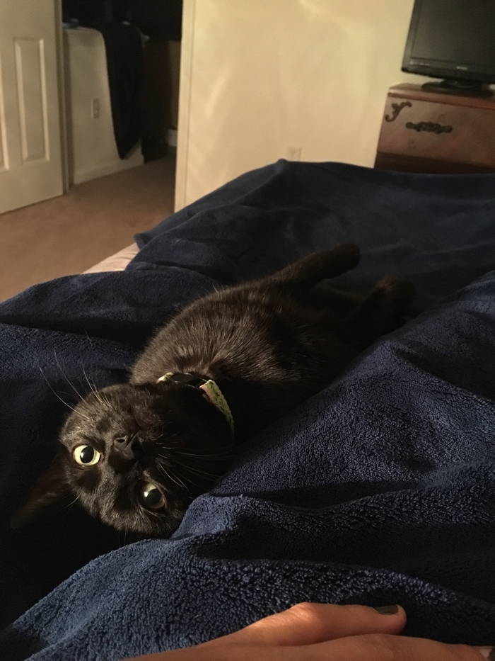 Утренний взгляд...