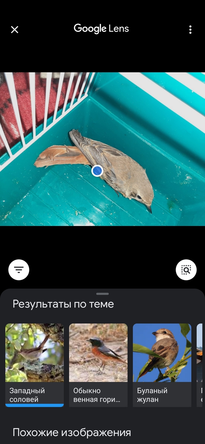 что делать если не можешь найти носки. Смотреть фото что делать если не можешь найти носки. Смотреть картинку что делать если не можешь найти носки. Картинка про что делать если не можешь найти носки. Фото что делать если не можешь найти носки