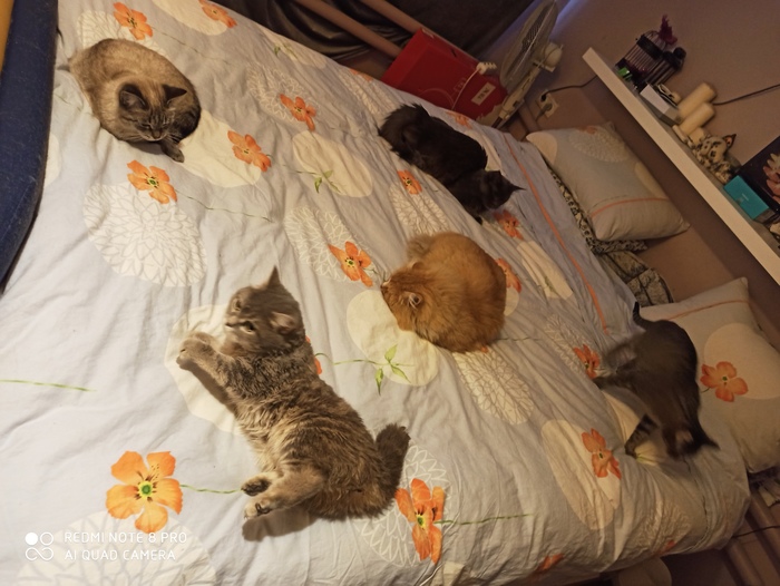 ����� ������� � �����������