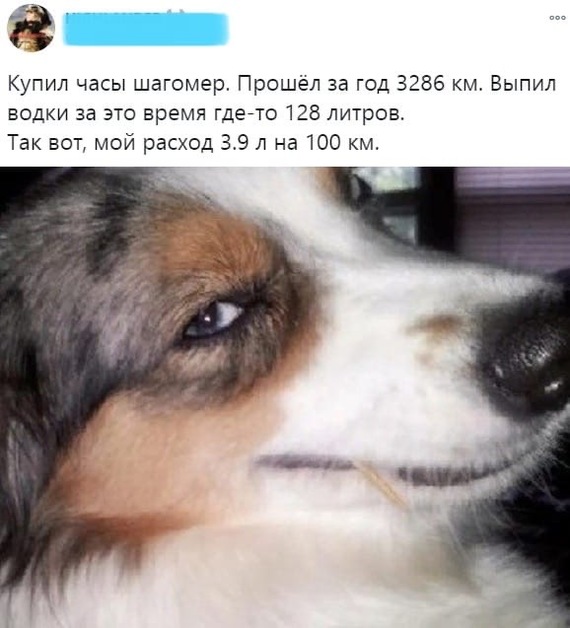 А у вас?