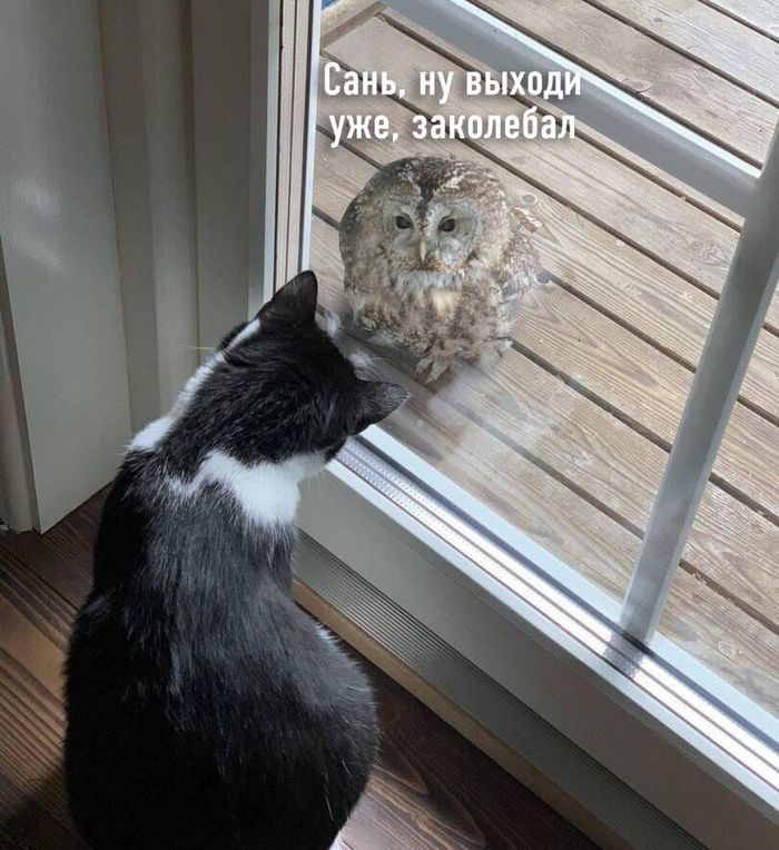    , , , 
