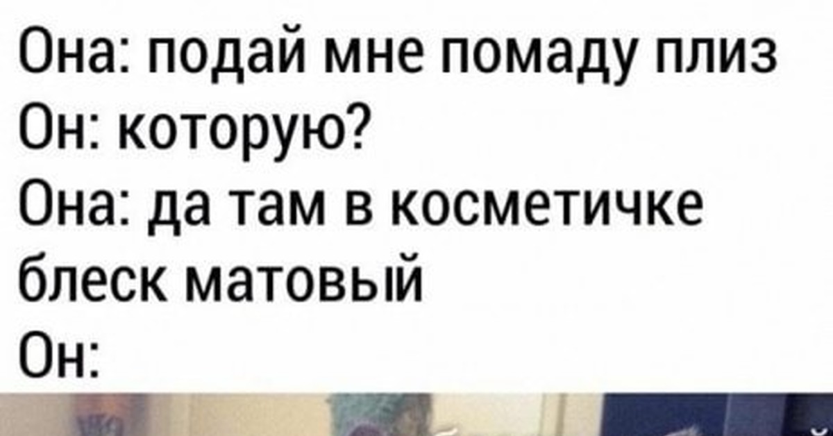 тексты похож на кота. ты похож на кота в моих глазах. жанулька ты похож на кота текст. слабый кот. ты похож на кота в моих глазах.