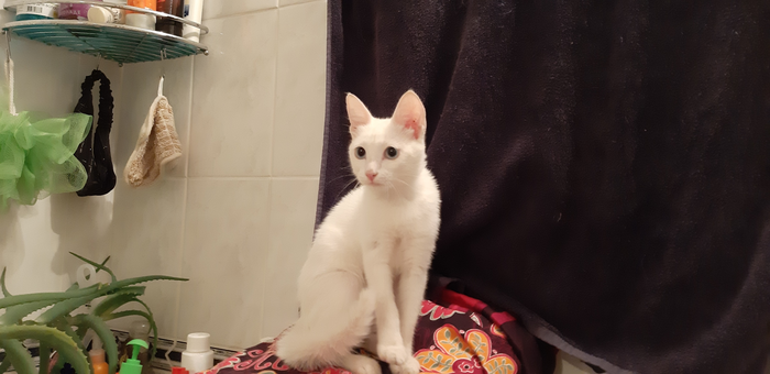 ������ ����� ����� ��� ����� (�������)