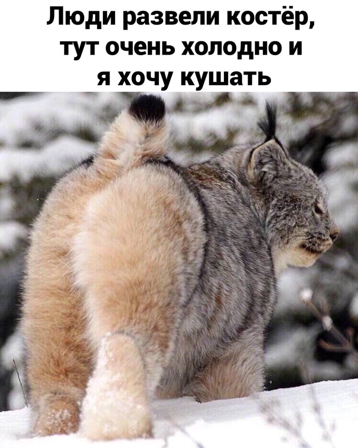    ,  , , , , , 