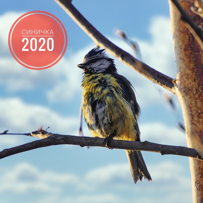 ������� 2020