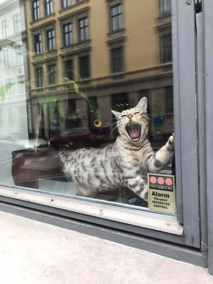 ������� ������� �����!!!