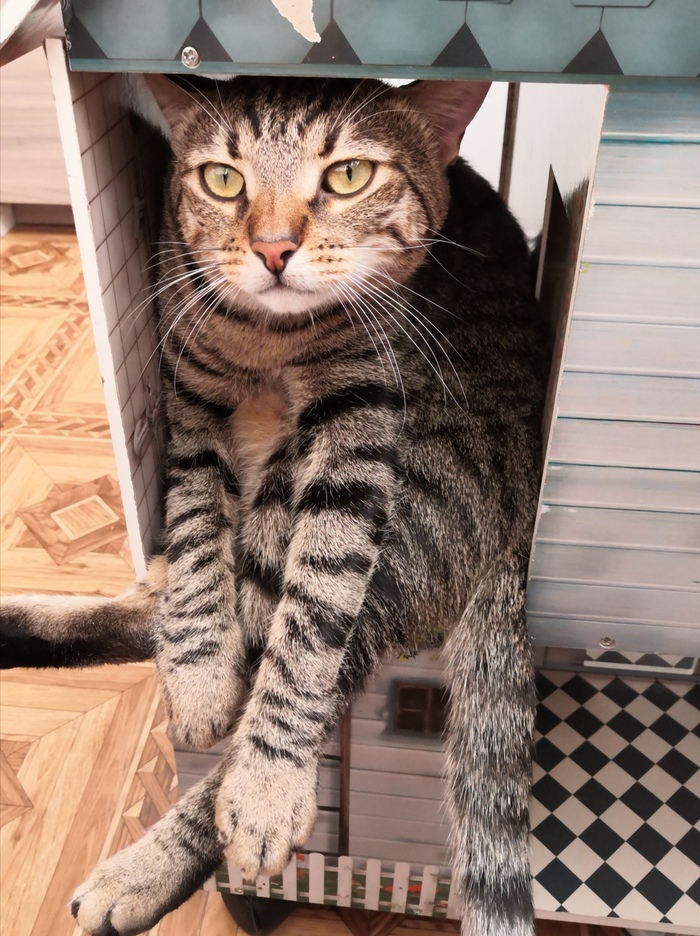 ����� ����� � ������� ������, ������� ���� ���� ���������)