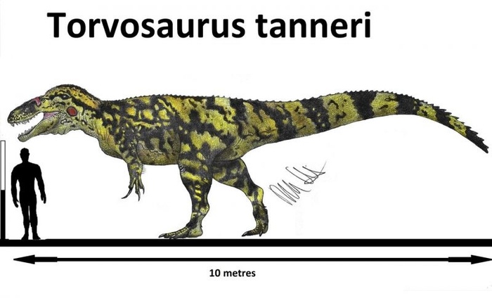  (. Torvosaurus) ,  , , 