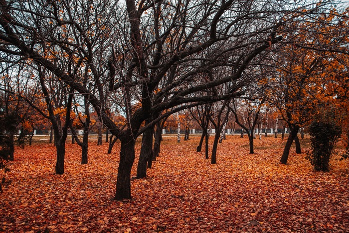 ����� �� �����