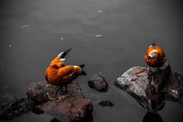 Нашли в воде что то невообразимое. Смотреть фото Нашли в воде что то невообразимое. Смотреть картинку Нашли в воде что то невообразимое. Картинка про Нашли в воде что то невообразимое. Фото Нашли в воде что то невообразимое