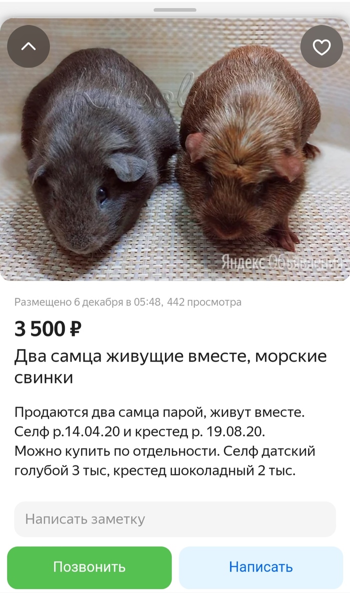 �������� � ��� � ������ �� �� ����(