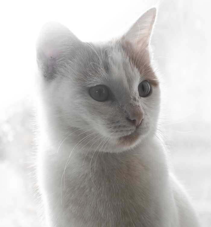 ����� �� ����