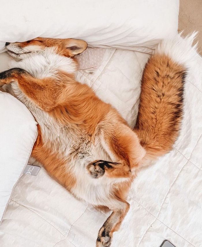 ������� ���