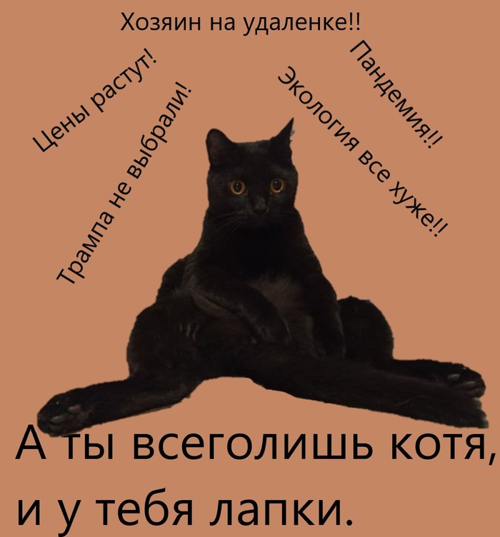 Жизнь тлен!