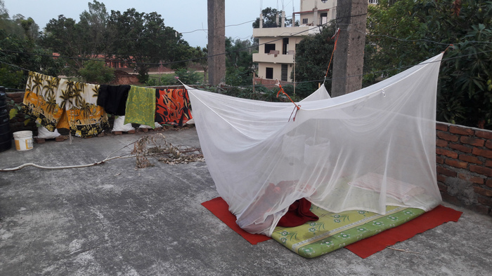 Как то раз.. я решил пробежать Непал Бег, Физкультура, Спорт, Непал, Пешком, Путешествия, Длиннопост