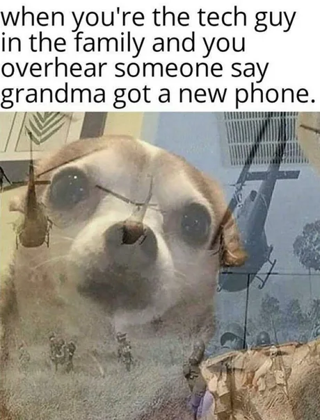 Когда ты единственный тыжпрограммист в семье