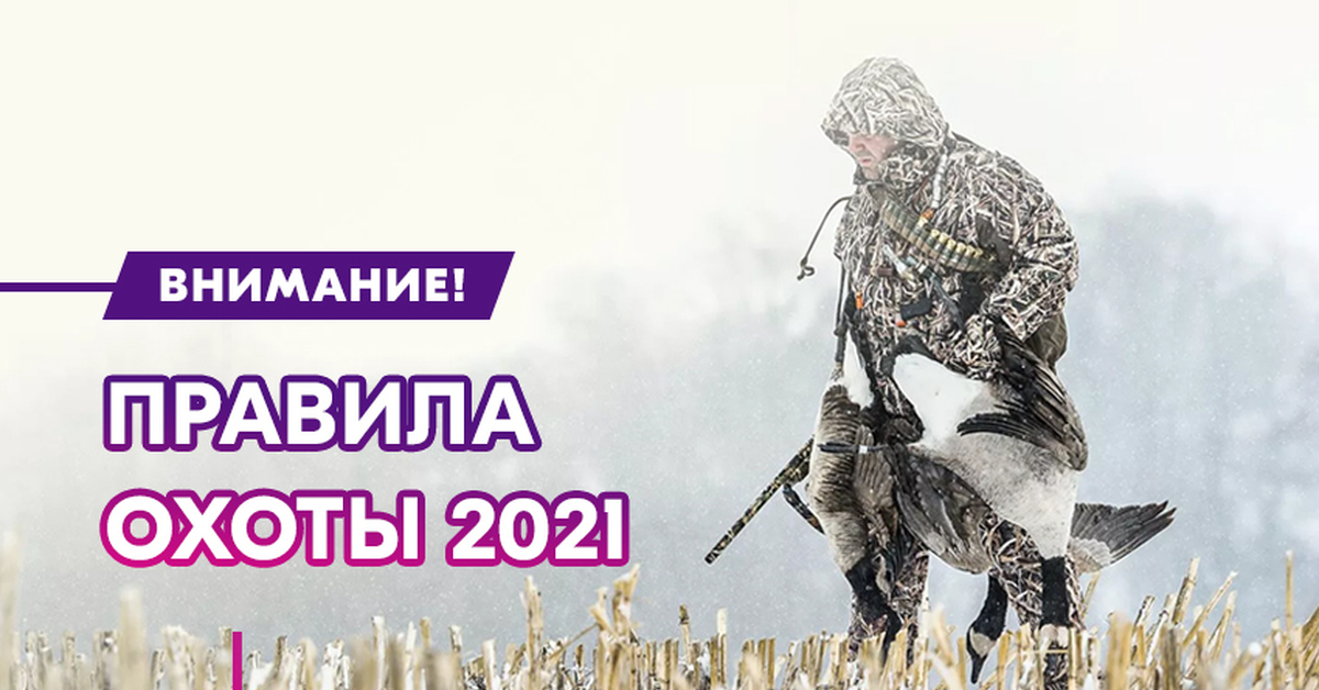 изменения в правилах охоты. сроки осуществления охоты. весенняя охота на гуся 2021. правила охоты. русский охотник.