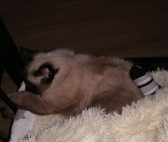 � ������� ������ ��������