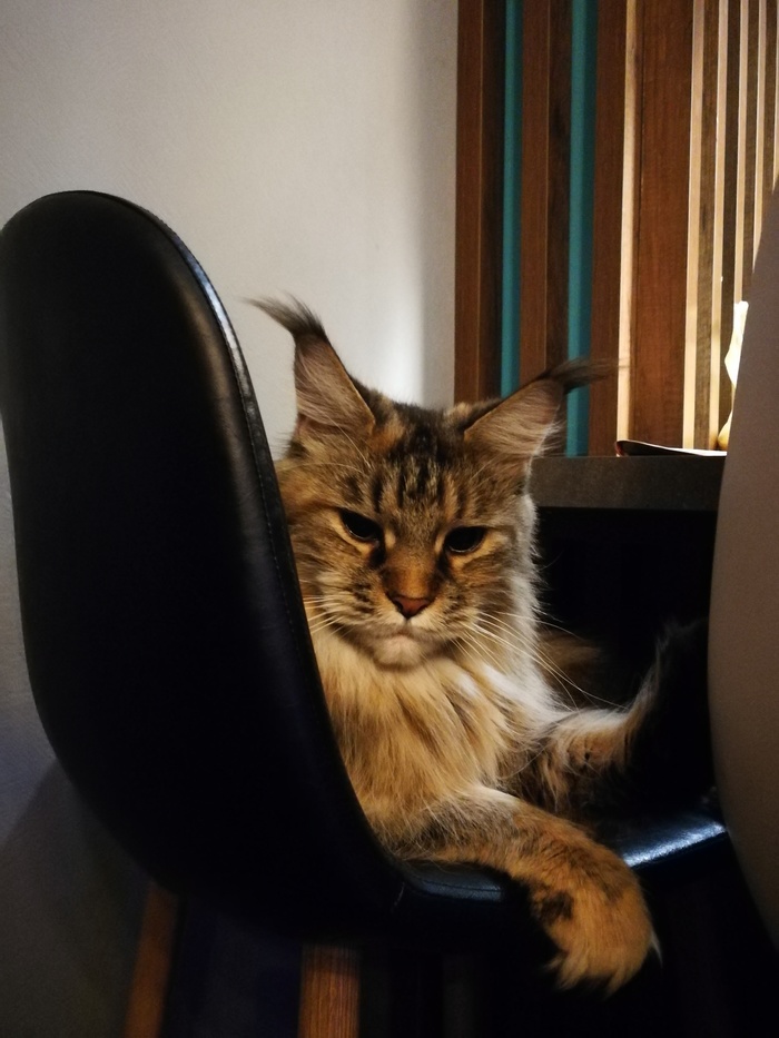 �������� � �����