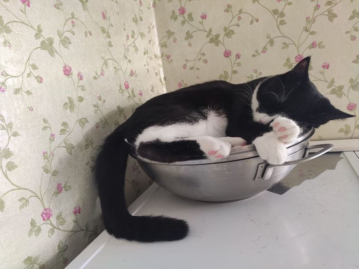 ����� ��� ������ ����, � �� ����. � ���� �� ������������