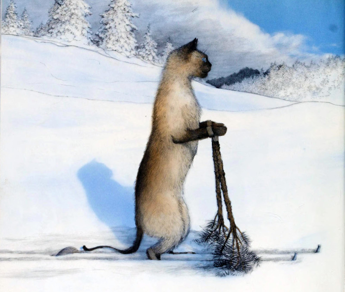 �������