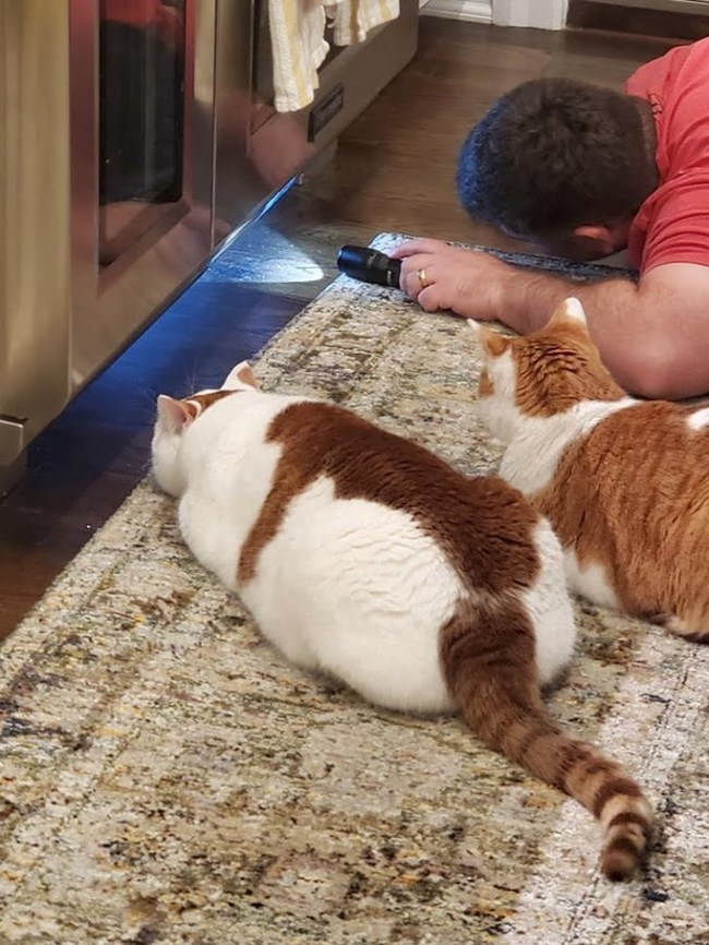 ����� ���-�� ����� � ������ ������