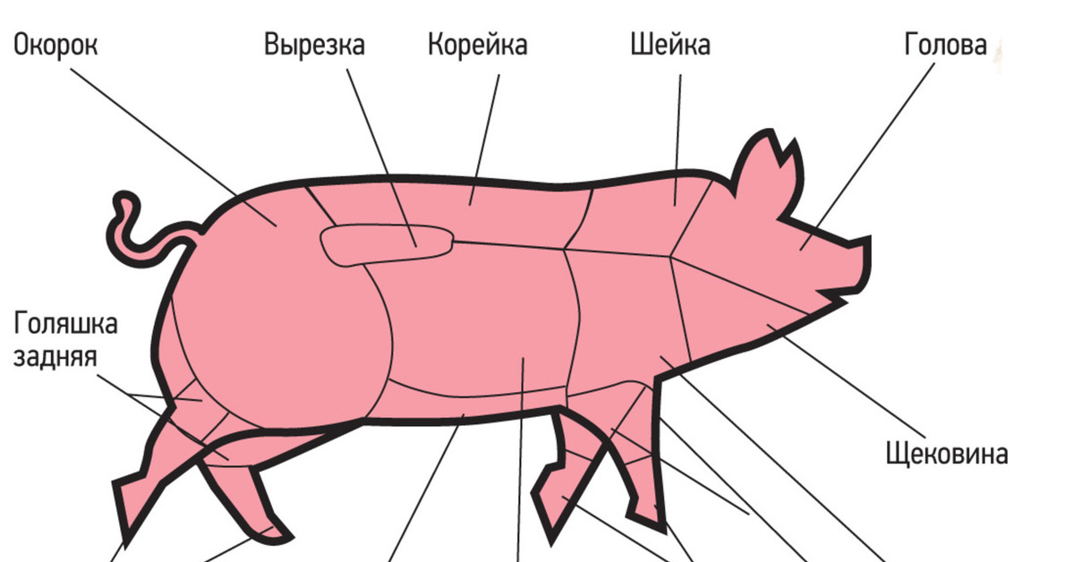 Названия разделки свинины. Схема разделки свиной туши с названиями частей. Корейка свинина схема. Часть туши корейка у свинины. Части туши свинины схема корейка.