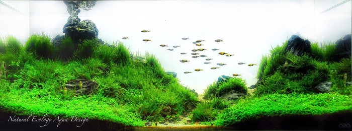 Сбалансированный скейп