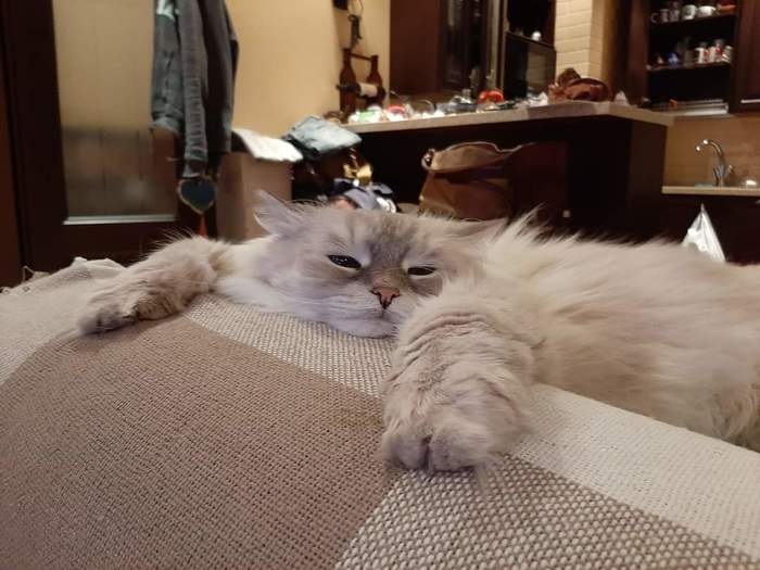 Весь мир мо-о-ой...