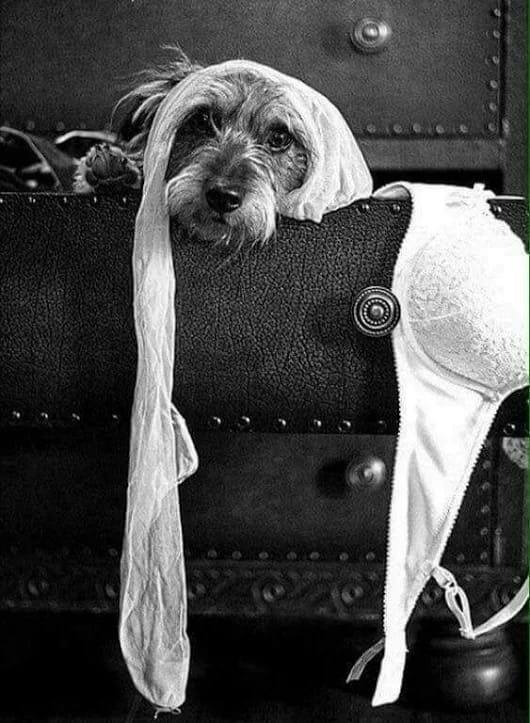 Когда на кровати спит другой