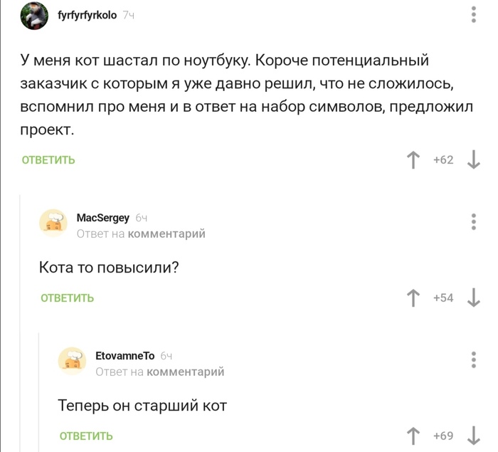 Полезный кот