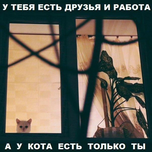 Пустая миска