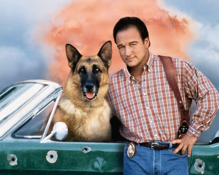  :  1980-  1990- , , , ,  