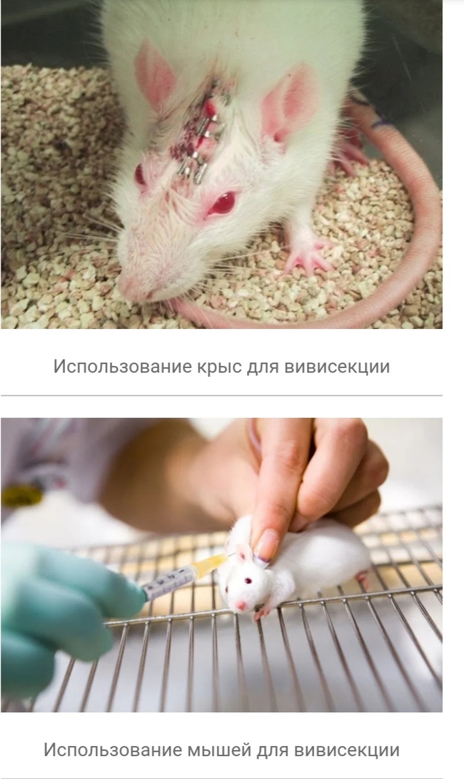 что такое вивисекция в ведьмаке. 1608463301124294077. что такое вивисекция в ведьмаке фото. что такое вивисекция в ведьмаке-1608463301124294077. картинка что такое вивисекция в ведьмаке. картинка 1608463301124294077. Сериал «Ведьмак» от Netflix оказался немного сложным, но у любителей саги о Геральте из Ривии есть простое и элегантное решение проблемы — цветная диаграмма. И если бы по сериалу делали учебник, то этот иллюстративный материал стал бы его украшением. Фанат экранизированного «Ведьмака» собрался с силами, пересмотрел его и составил наглядное пособие, которое поможет легко разобраться во всех перипетиях сериала.
