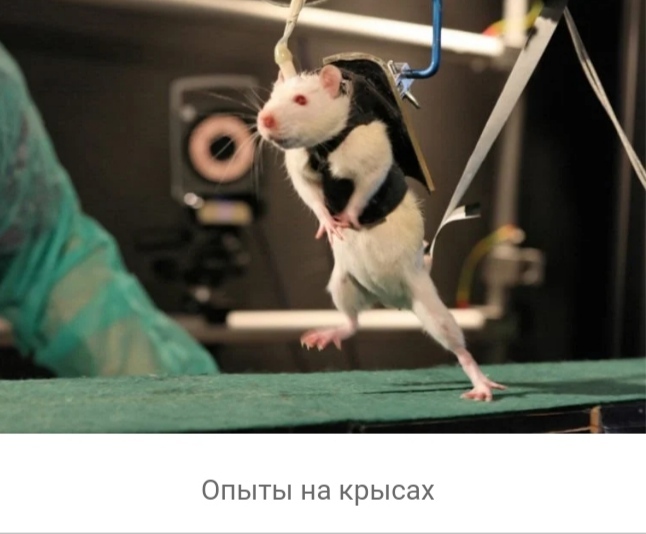 что такое вивисекция в ведьмаке. 160846330114810697. что такое вивисекция в ведьмаке фото. что такое вивисекция в ведьмаке-160846330114810697. картинка что такое вивисекция в ведьмаке. картинка 160846330114810697. Сериал «Ведьмак» от Netflix оказался немного сложным, но у любителей саги о Геральте из Ривии есть простое и элегантное решение проблемы — цветная диаграмма. И если бы по сериалу делали учебник, то этот иллюстративный материал стал бы его украшением. Фанат экранизированного «Ведьмака» собрался с силами, пересмотрел его и составил наглядное пособие, которое поможет легко разобраться во всех перипетиях сериала.