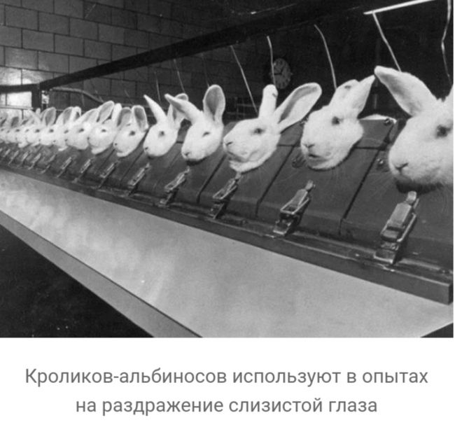 что такое вивисекция в ведьмаке. 1608463621160234088. что такое вивисекция в ведьмаке фото. что такое вивисекция в ведьмаке-1608463621160234088. картинка что такое вивисекция в ведьмаке. картинка 1608463621160234088. Сериал «Ведьмак» от Netflix оказался немного сложным, но у любителей саги о Геральте из Ривии есть простое и элегантное решение проблемы — цветная диаграмма. И если бы по сериалу делали учебник, то этот иллюстративный материал стал бы его украшением. Фанат экранизированного «Ведьмака» собрался с силами, пересмотрел его и составил наглядное пособие, которое поможет легко разобраться во всех перипетиях сериала.
