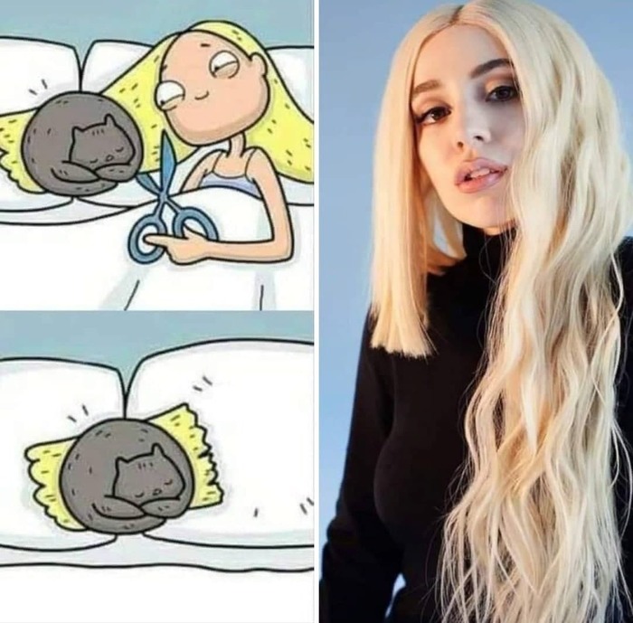 Из просторов сети