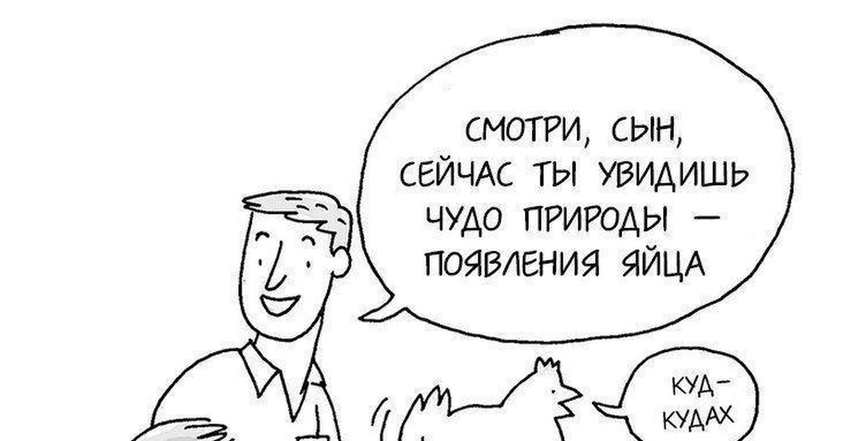 Ровно держи. Комикс про курицу фраер. Мое яичное очко полыхает. Валера мое яичное.