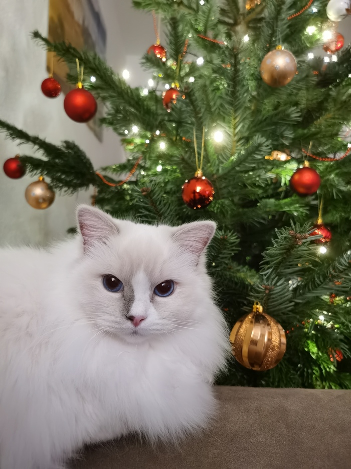 А ты готов проводить этот год? Я готов