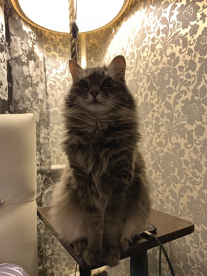 ��� ���������