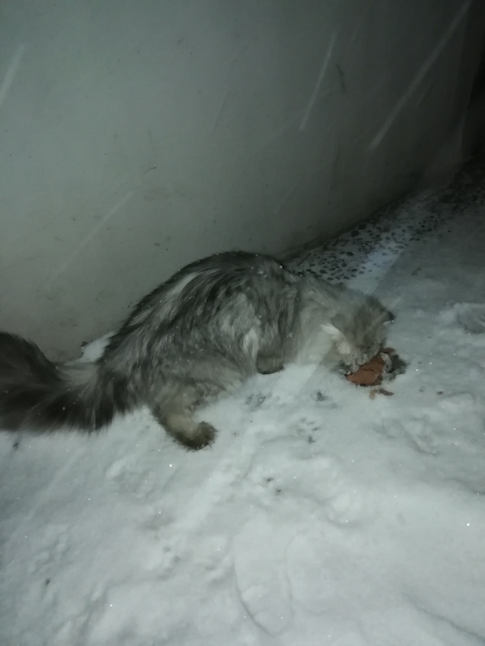 ����� �����! �����!