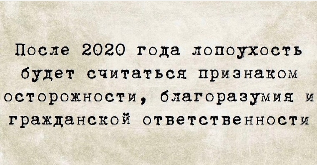 2020 текст. Лопоухий афоризмы.